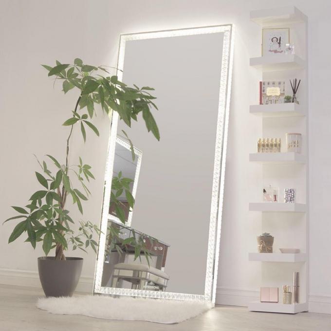 Led Light Up Full Length Floor Mirror For Bedroom Salon Vanity Crystals 1