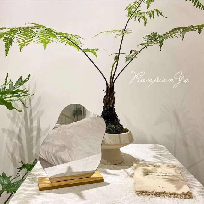 Curvy Portable Lighted Makeup Mirror Wood Stand For Vanity 0